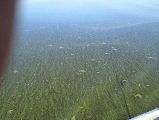 post-1299-0-09818700-1406314055_thumb.jp