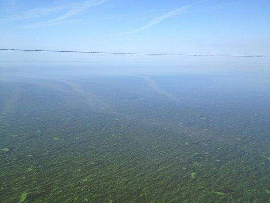 post-1299-0-39903100-1406314056_thumb.jp