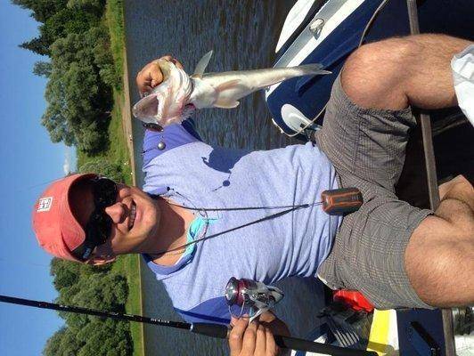 post-1327-0-00298200-1405591124_thumb.jp