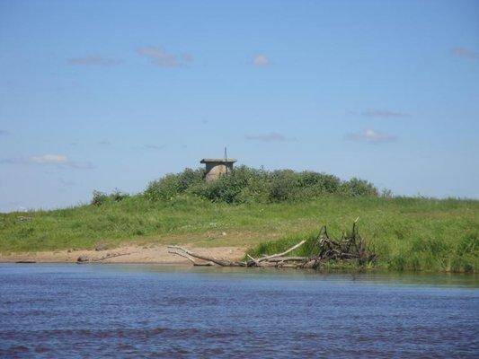 post-1808-0-17749700-1405088250_thumb.jp