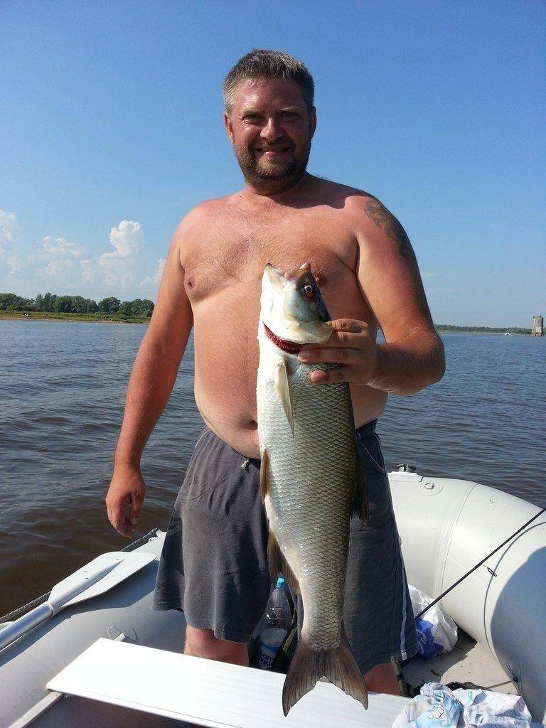 post-1853-0-90308500-1406578042_thumb.jp