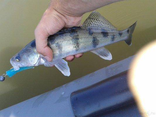 post-1855-0-25789000-1405329505_thumb.jp