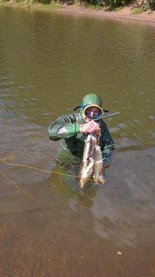 post-1209-0-02035000-1436252103_thumb.jp