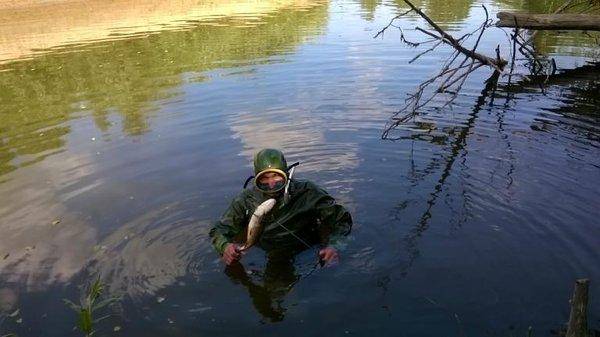 post-1209-0-49002400-1436252113_thumb.jp