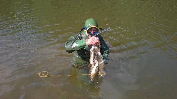 post-1209-0-81561800-1436252089_thumb.jp