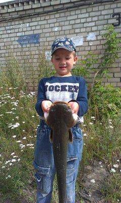 post-1283-0-43929100-1438026662_thumb.jp