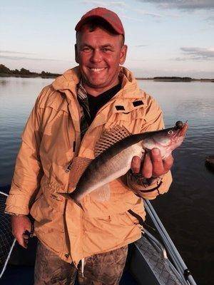 post-1327-0-04883100-1437341652_thumb.jp