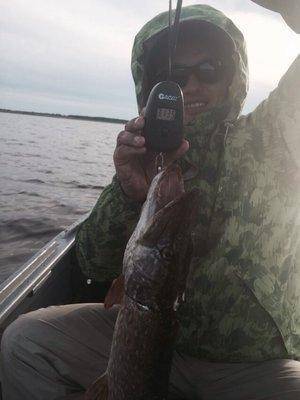 post-1327-0-28595800-1436219764_thumb.jp