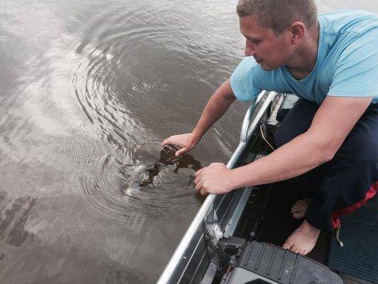 post-1327-0-34084600-1436382048_thumb.jp