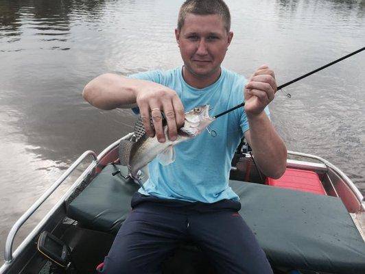 post-1327-0-41036800-1436381969_thumb.jp