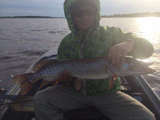 post-1327-0-43480200-1436219756_thumb.jp