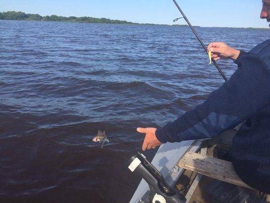 post-1327-0-65307300-1436219618_thumb.jp