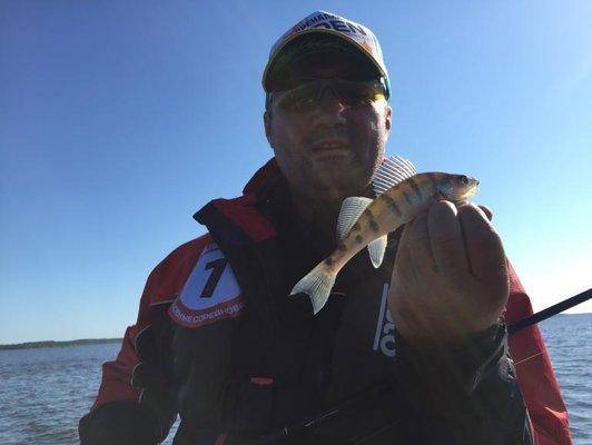 post-1327-0-66829300-1438125478_thumb.jp