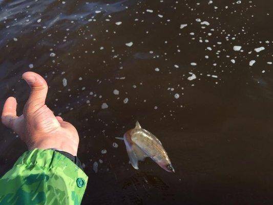 post-1327-0-75141900-1435826661_thumb.jp