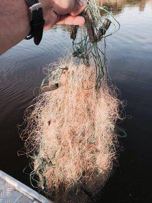 post-1327-0-78477100-1436476280_thumb.jp