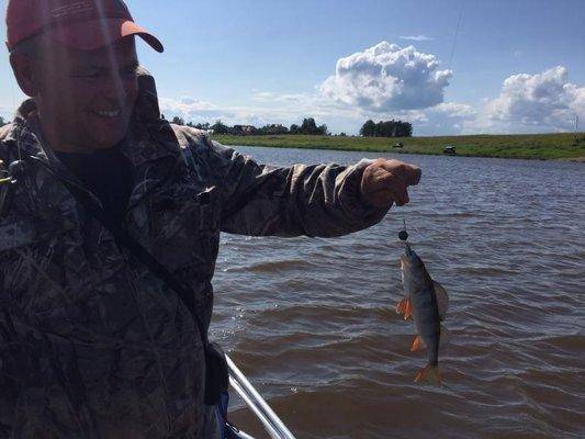 post-1327-0-88495600-1437341612_thumb.jp