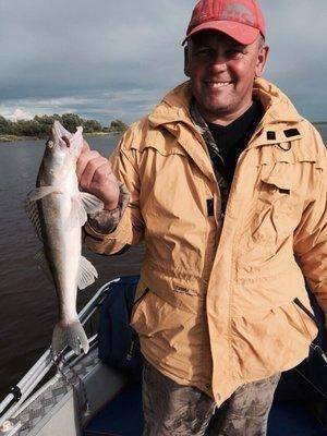 post-1327-0-99581800-1437341631_thumb.jp