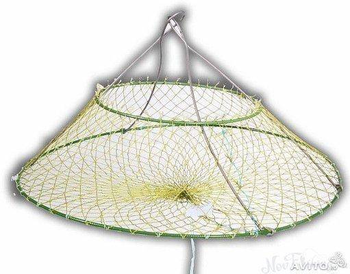 post-1353-0-85919100-1437108860_thumb.jp