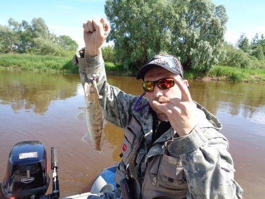 post-1808-0-41425900-1435762153_thumb.jp