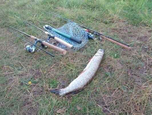 post-1808-0-63215700-1435956570_thumb.jp