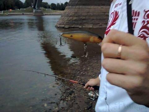 post-2404-0-79464800-1438255852_thumb.jp