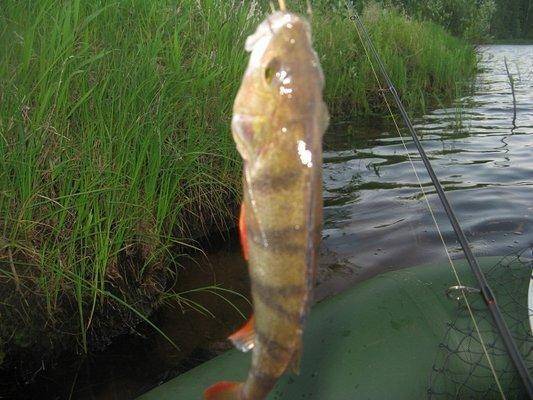 post-2414-0-01245700-1436129238_thumb.jp