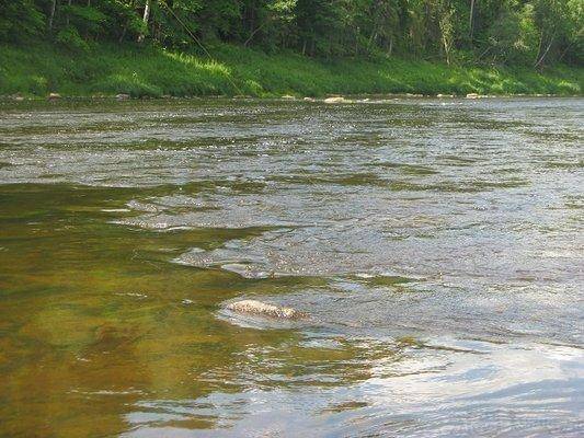 post-2414-0-02111800-1437420410_thumb.jp