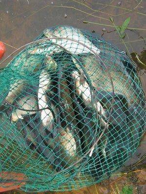 post-2414-0-11659000-1437425759_thumb.jp