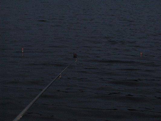 post-2414-0-15303600-1438096269_thumb.jp