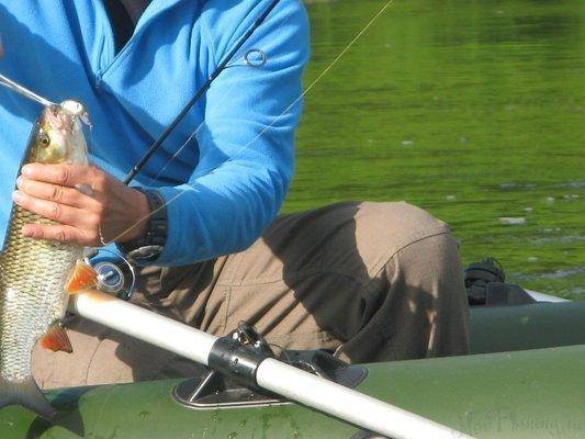 post-2414-0-26204000-1437420449_thumb.jp