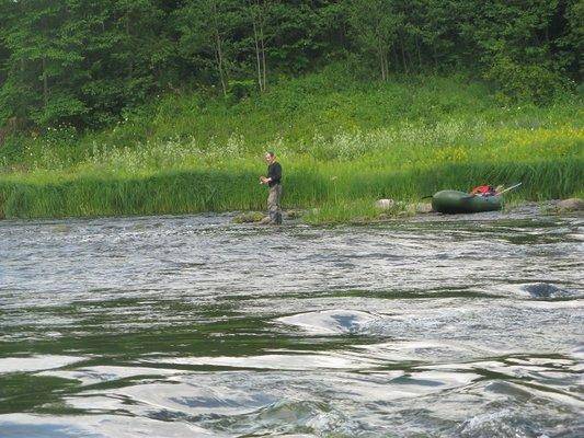 post-2414-0-48639900-1437420696_thumb.jp