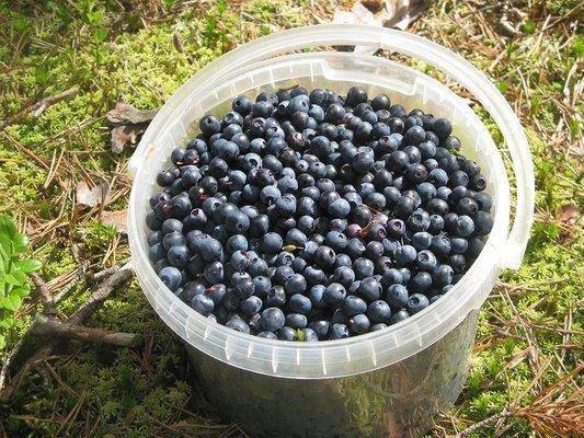 post-2414-0-49614000-1436644225_thumb.jp