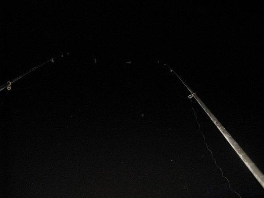 post-2414-0-53138800-1437425742_thumb.jp