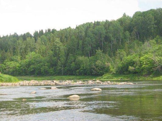 post-2414-0-67840100-1437420710_thumb.jp