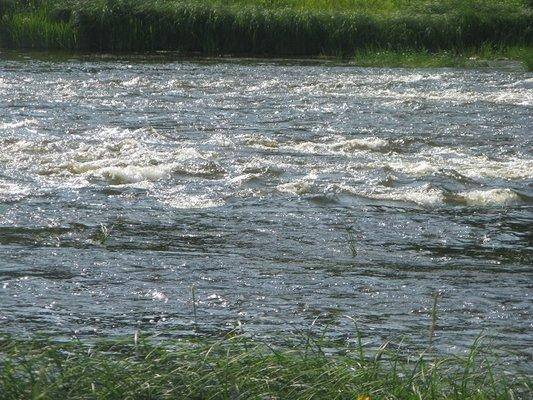 post-2414-0-70503600-1437420672_thumb.jp