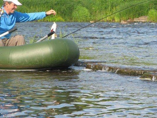 post-2414-0-77067900-1437420423_thumb.jp