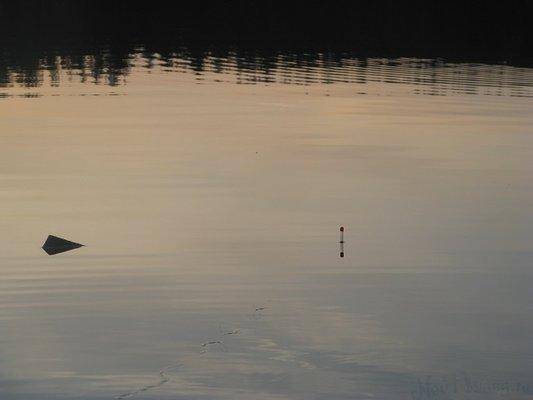 post-2414-0-86304800-1437425691_thumb.jp