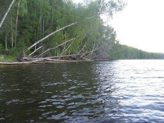 post-2414-0-90911500-1436129515_thumb.jp