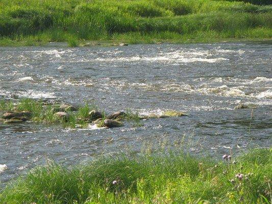 post-2414-0-93810300-1437420658_thumb.jp