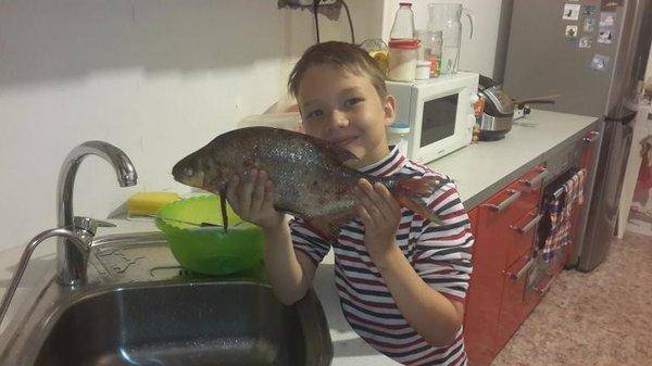 post-2611-0-48313900-1436644982_thumb.jp