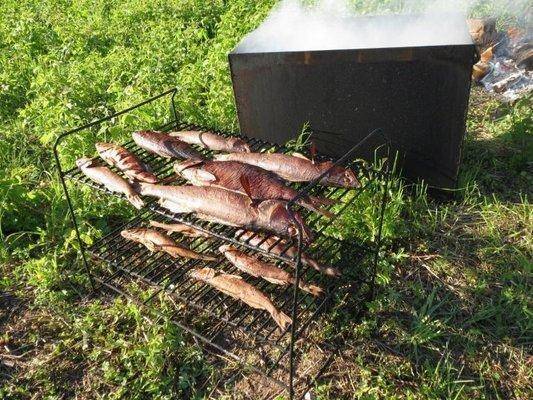 post-2674-0-46483600-1437144792_thumb.jp