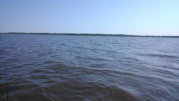 post-1039-0-33882300-1407591341_thumb.jp