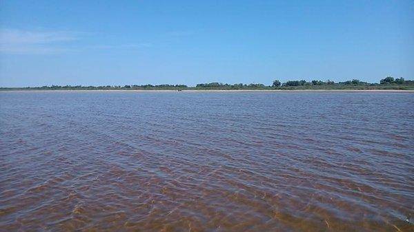 post-1039-0-43907300-1407591492_thumb.jp