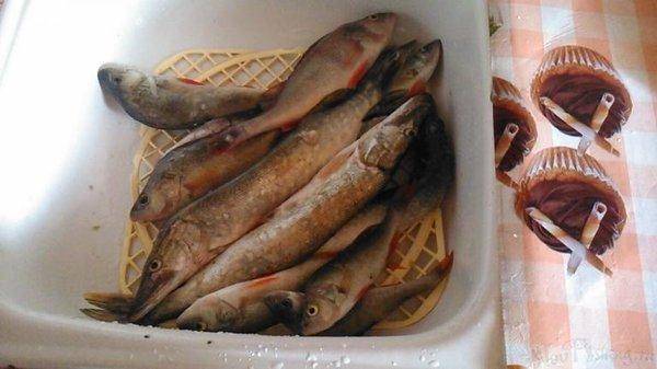 post-1039-0-97891200-1406980268_thumb.jp