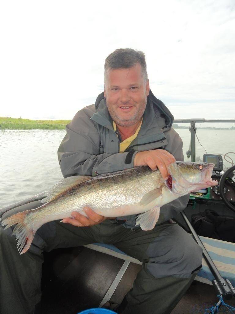 post-1299-0-93923400-1408217938_thumb.jp