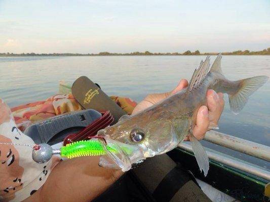 post-1327-0-36150700-1407533736_thumb.jp