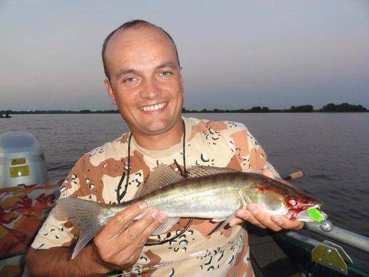 post-1327-0-78066300-1407533792_thumb.jp