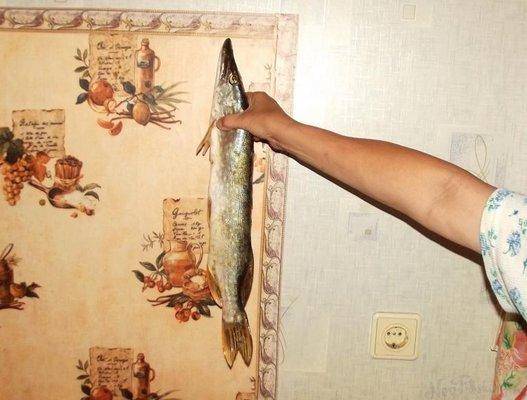 post-1594-0-10829700-1407994091_thumb.jp