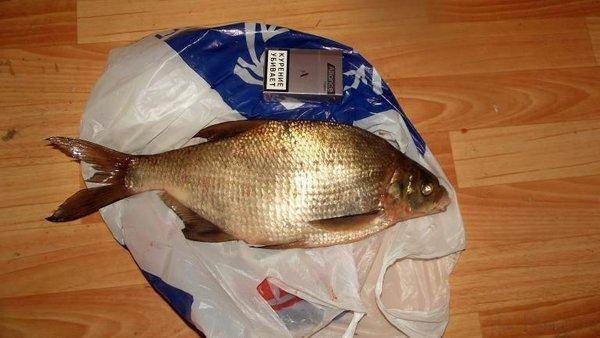 post-1594-0-82821300-1408118003_thumb.jp