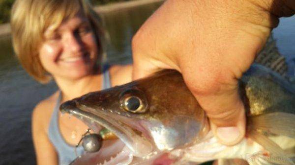 post-1734-0-59047400-1407264271_thumb.jp